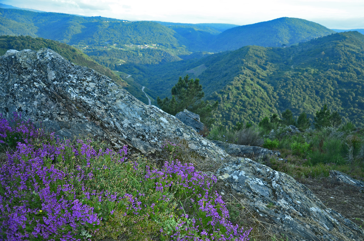 20220530161711-4940b989a7d9215cbbe69e73a133a3c5