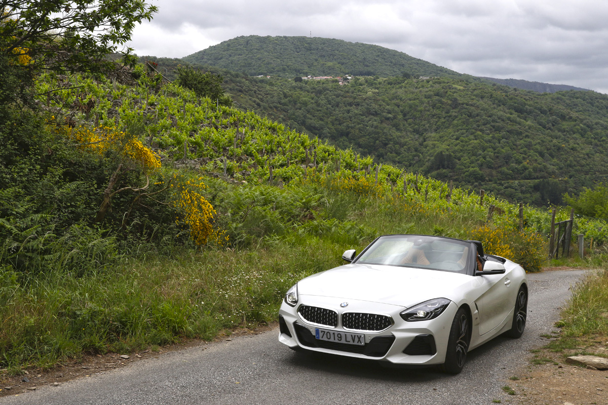 20220530161711-dccb6b8b4d2951de79da7c5c3e6e1287