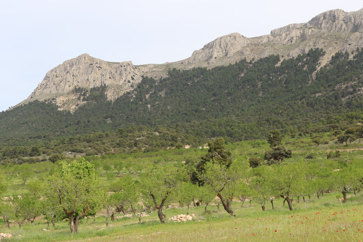 20220623013340-1b8d86159ef11557658aa697c120c0c5