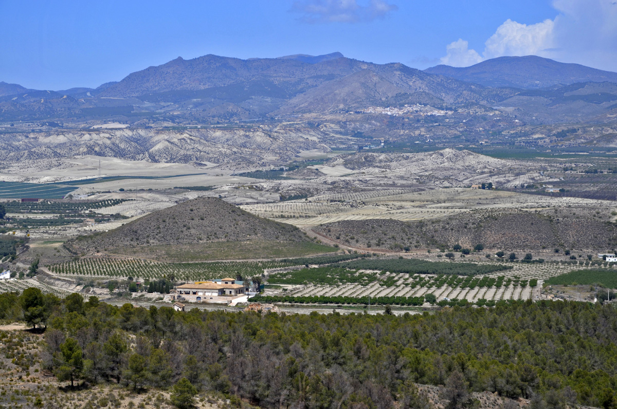 20220623013340-402028b1814abbeaf6dc3e995d14de4e