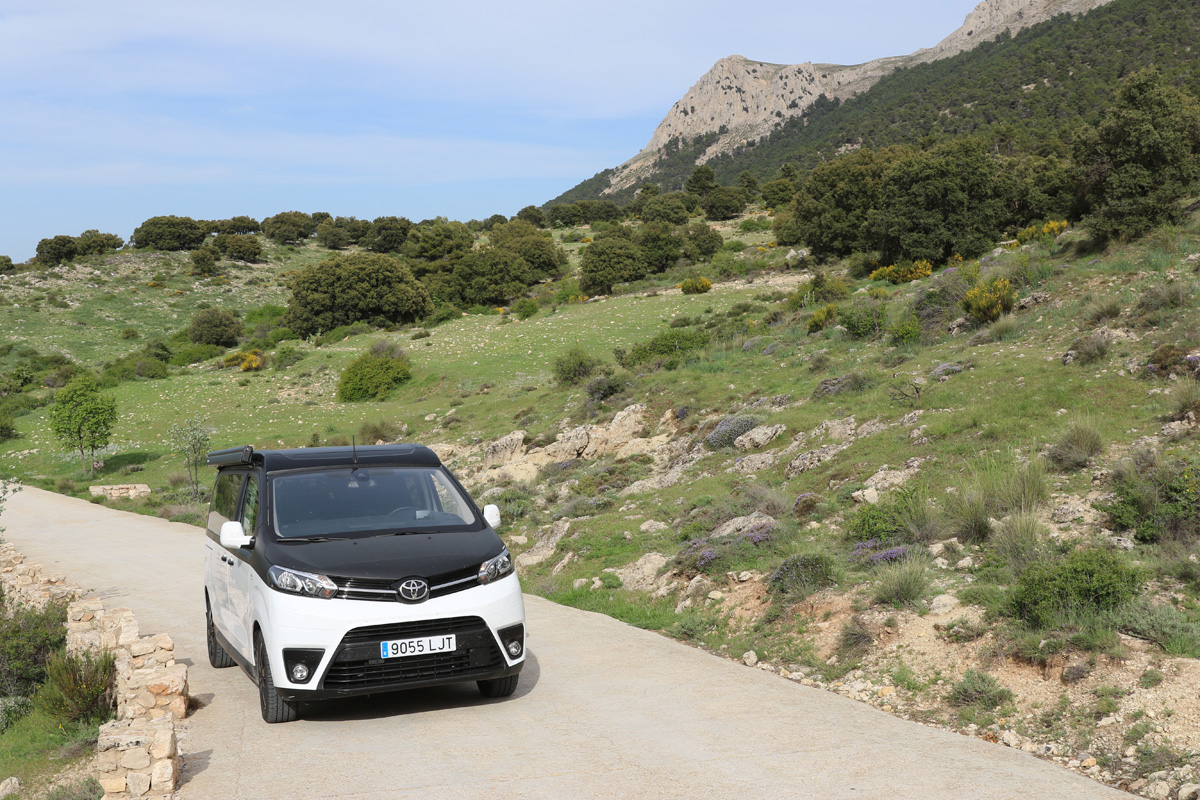 20220623013340-443f67cbf85f071271679ecf83a33246