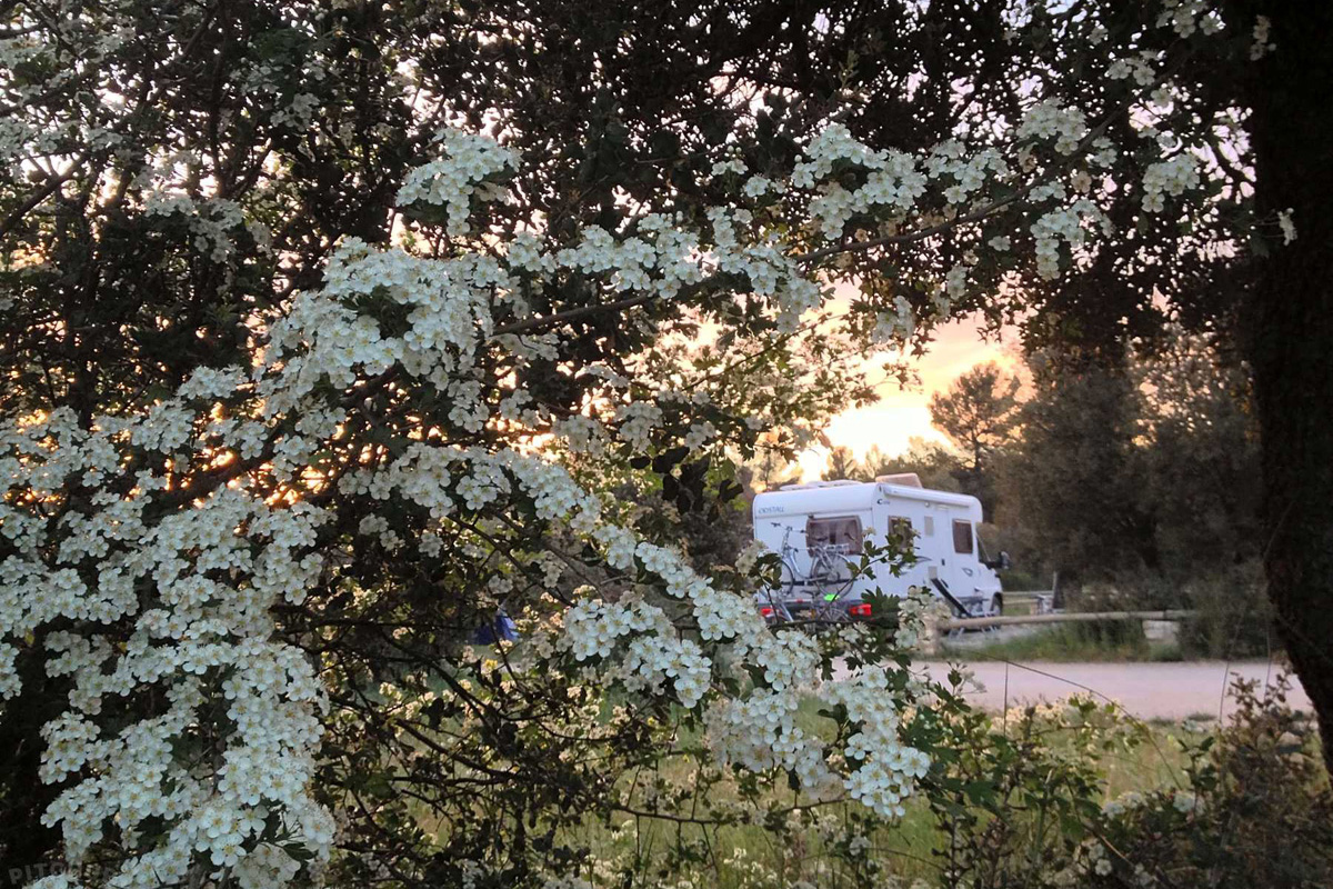 20220623013340-8f08f42bb01c4d9361effe70a5d79681