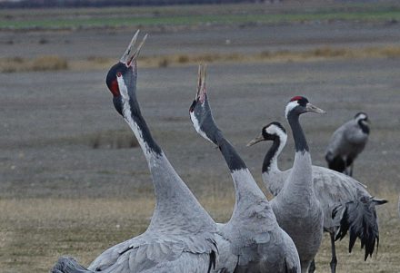 20220628114221-360b3350fddb1e5c3519c013831c8b92