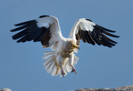 20220628114221-7b9a217cd40d0c8a57889d8976424692