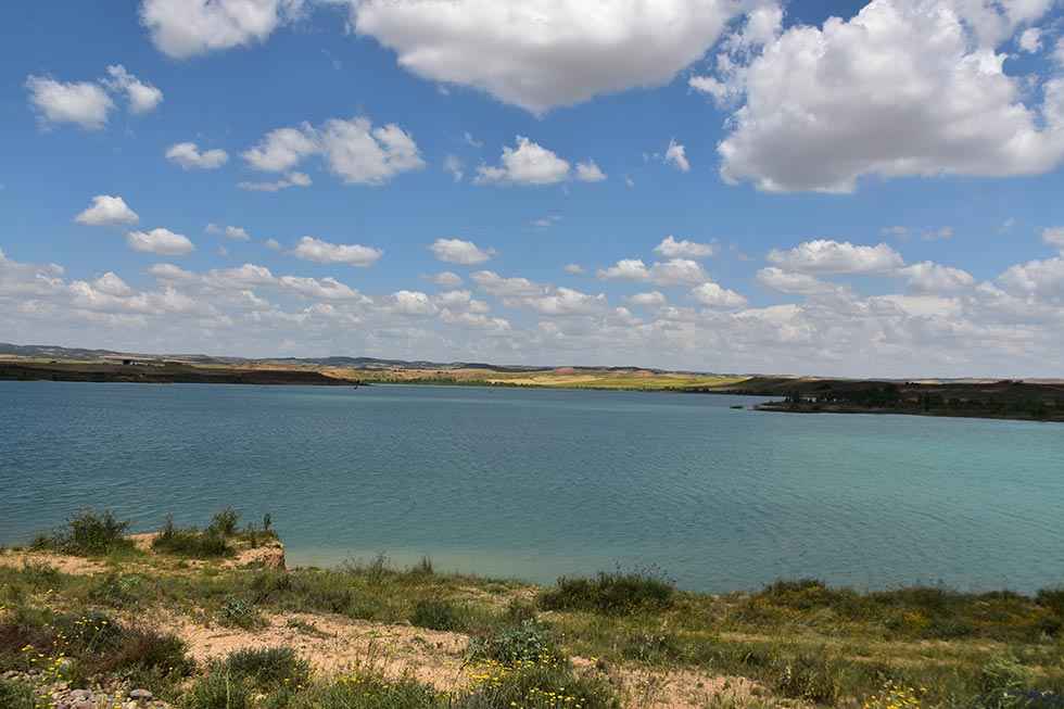 20220628114221-a0b335f11a9e01876a1b27cf4215702e