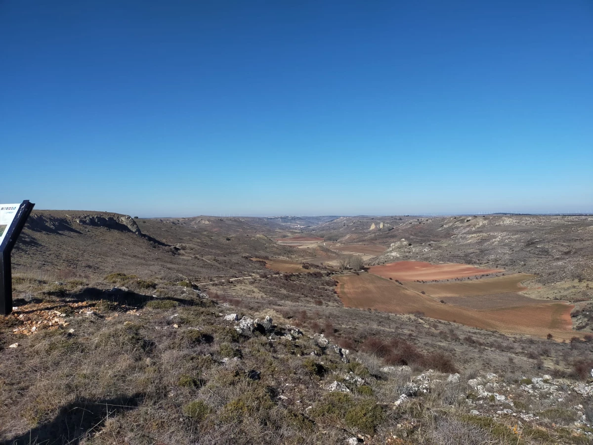 20220628114221-aa6884482aab748238ba832593dda178