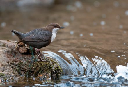 20220628114221-f5e6050e37e60644fd8e654593f753e9