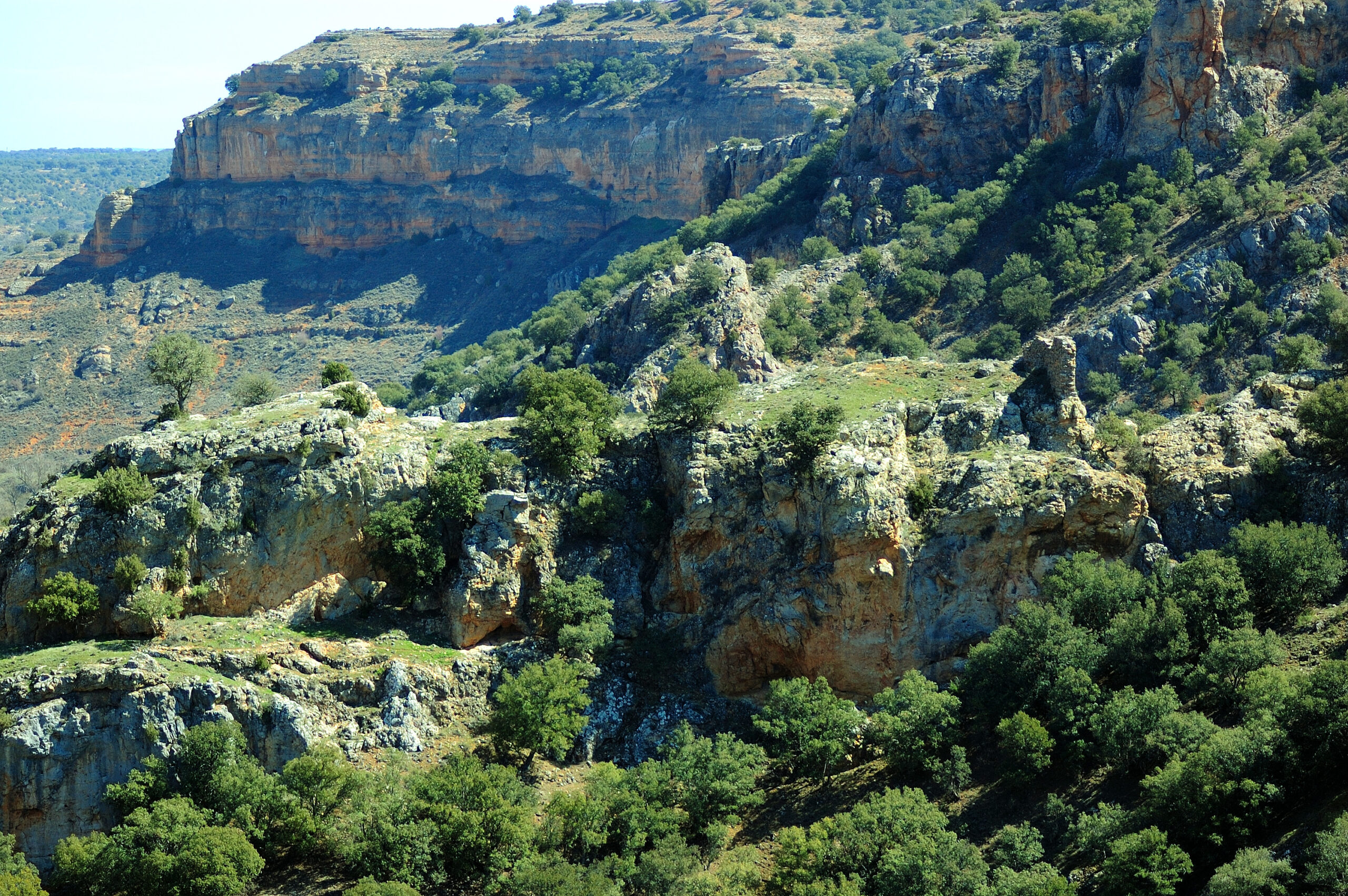 20220628114221-f6abe3c4a0712c2372c369fda6d95e60