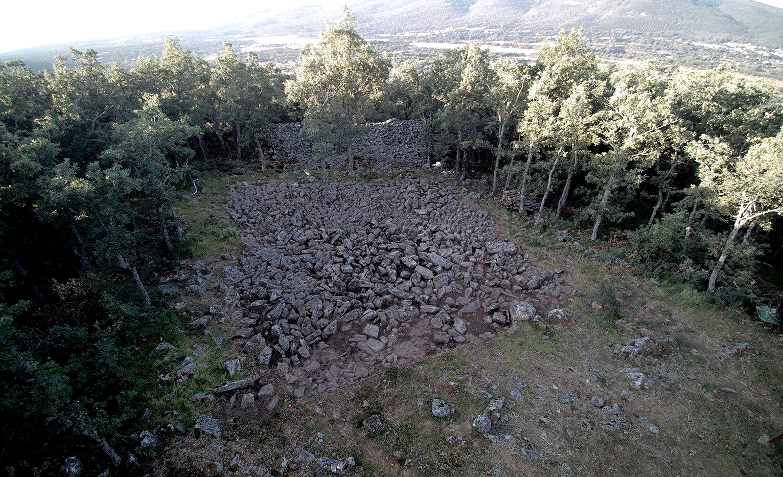 20220629100637-ad94bec553d4c84e0a402cfaabaaa152