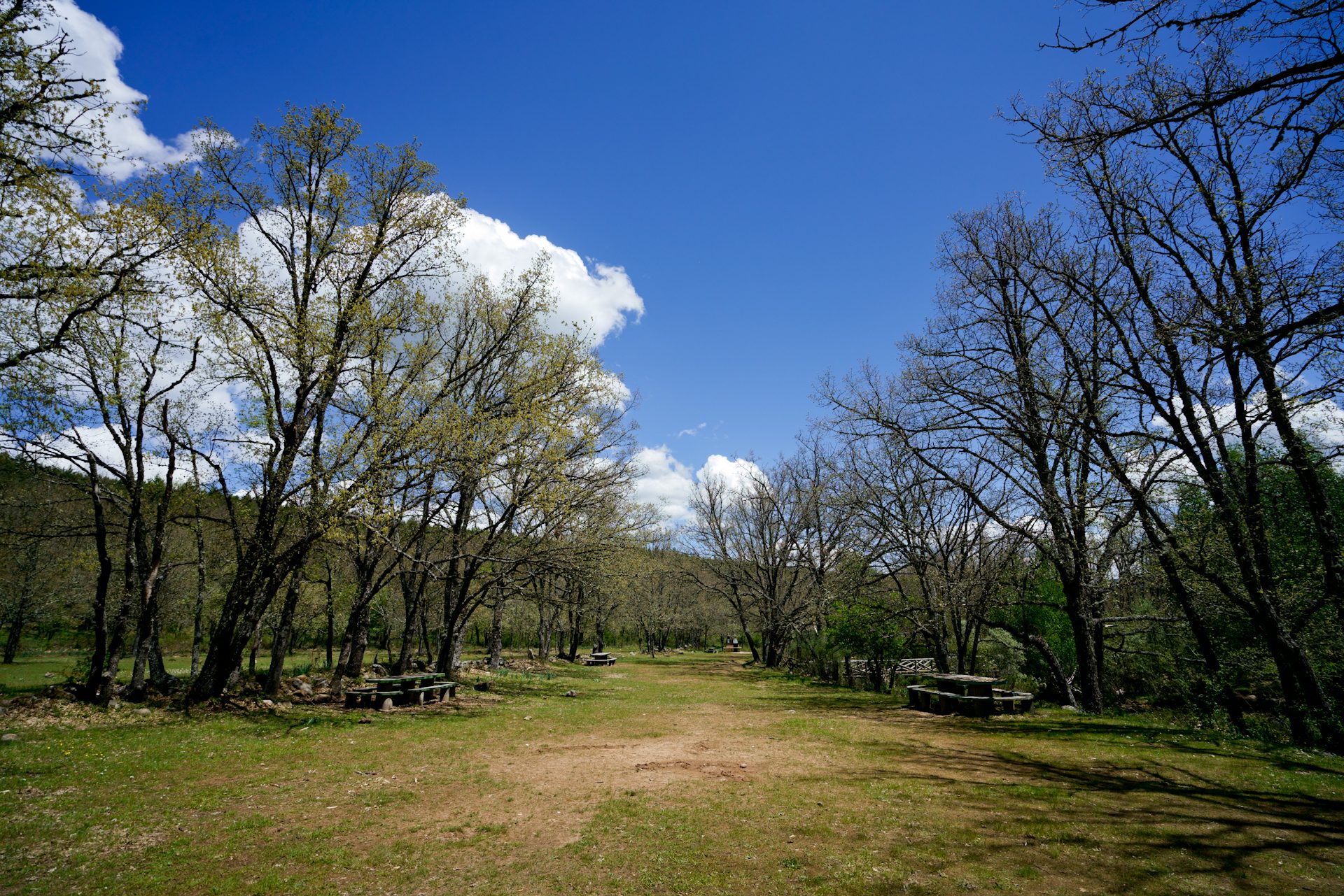 20220629100637-e7152105c295c1d22a1f9c02358127d3