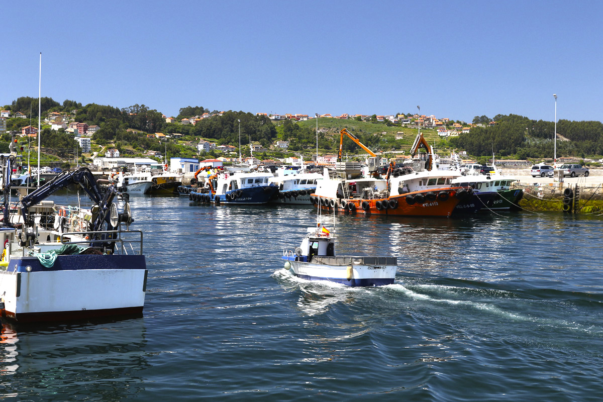 20220714233304-8f81350965204bd237f0e0e2529fe63a