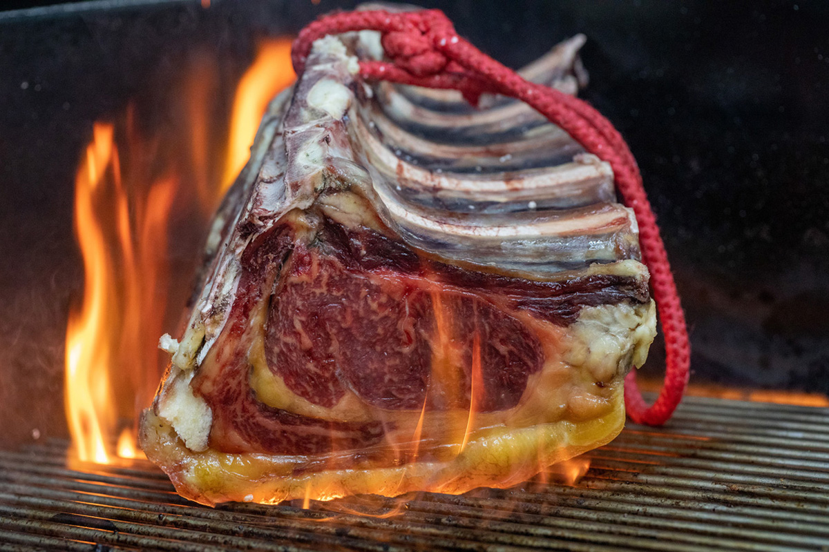 20221023213549-8aa5eefa42a495b6a440ea0a029a7aec