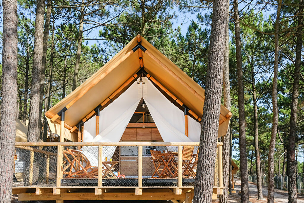 20221024021216-3e16ed370a26d5af48b8ebe77195d406