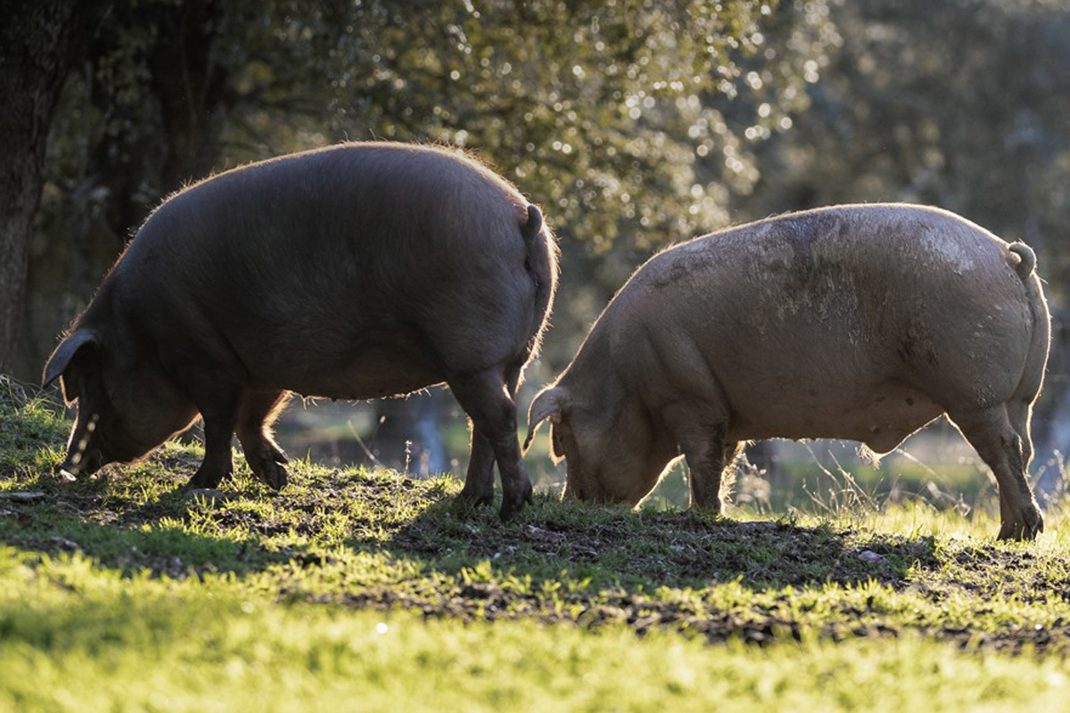 20221124063136-b057db6f1b3ec445a2aff31d2bdd7006