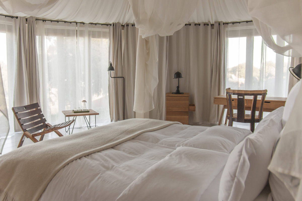 20221213225138-d61946732b480223a0bdc1a59da151fa