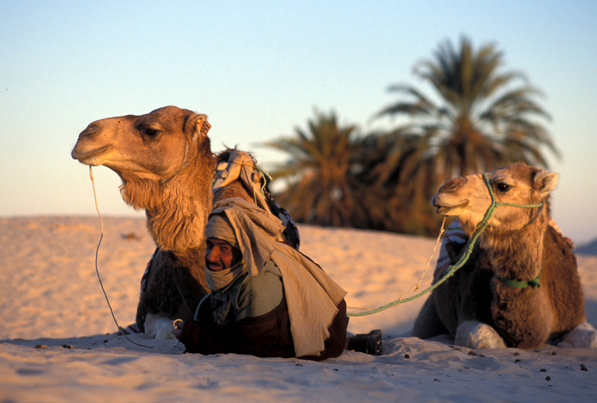 20221216193532-0730231219fd6bc29ed9efb70e209727