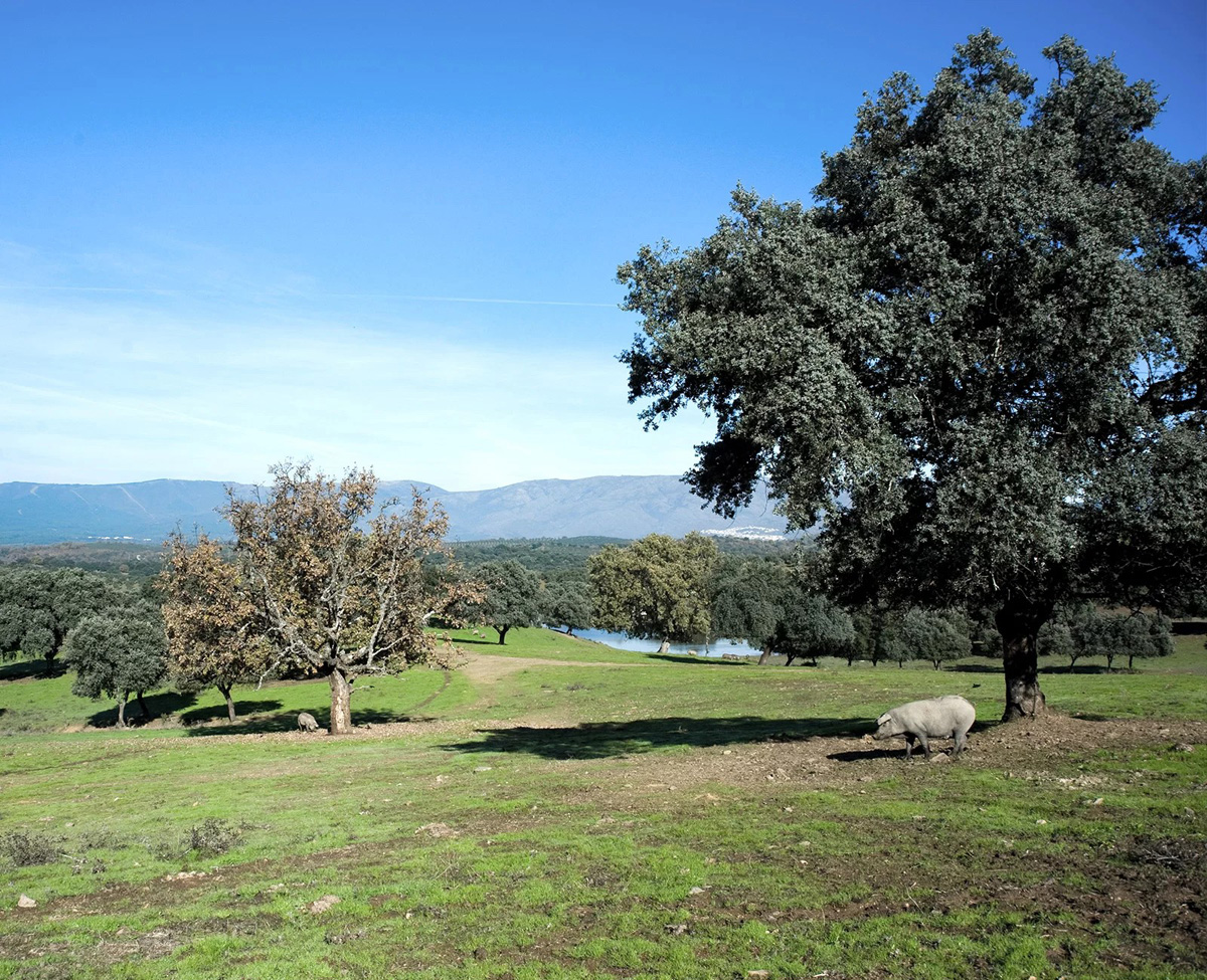 20230112010321-1af28d4d703e2a3fda60f39ebc80a7e6