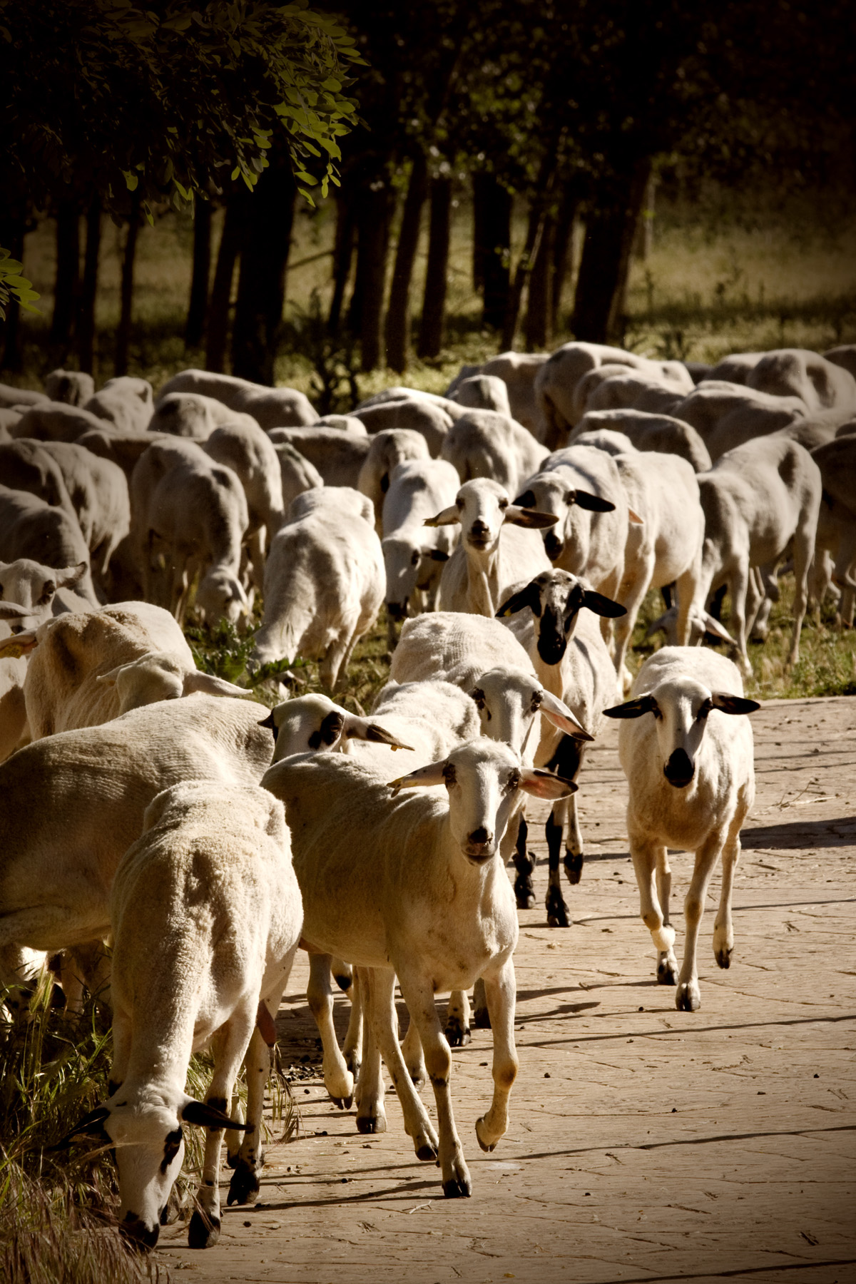 20230112010321-79cf9b8687be3f3514ab38b6c30ec655