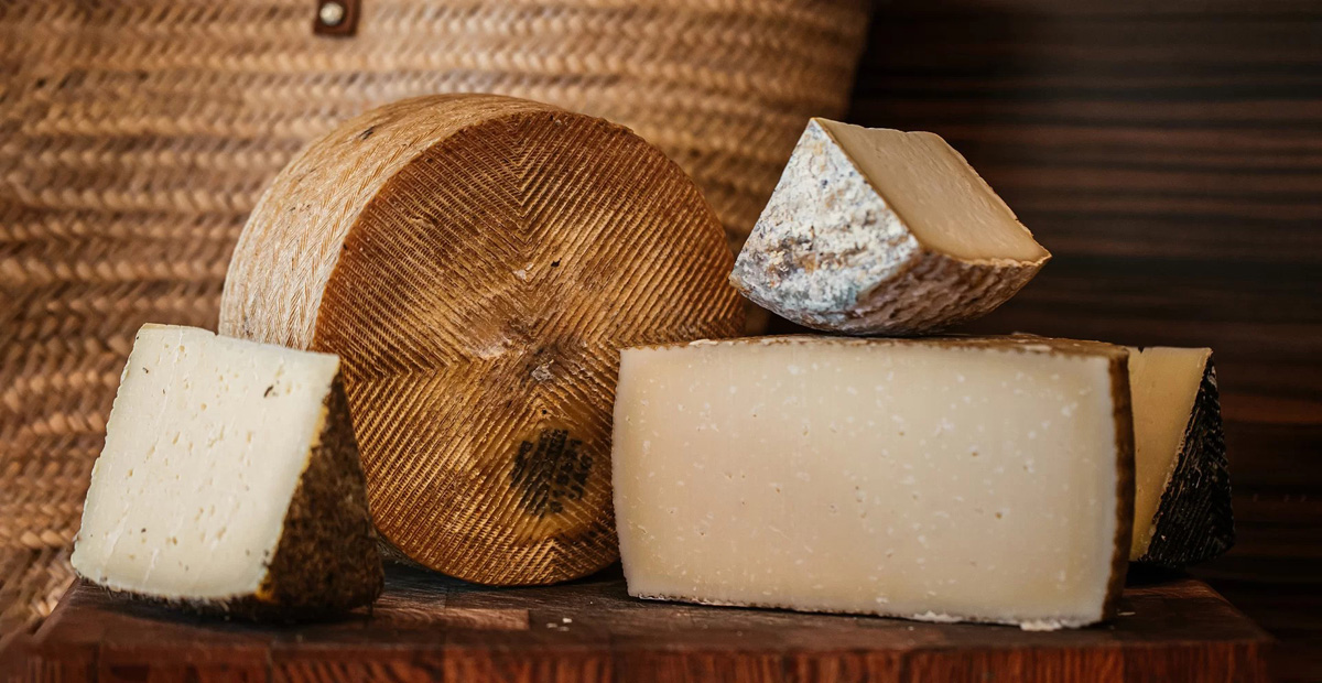 20230112010321-e1b7deed92c46799d7d19c526aaf4809