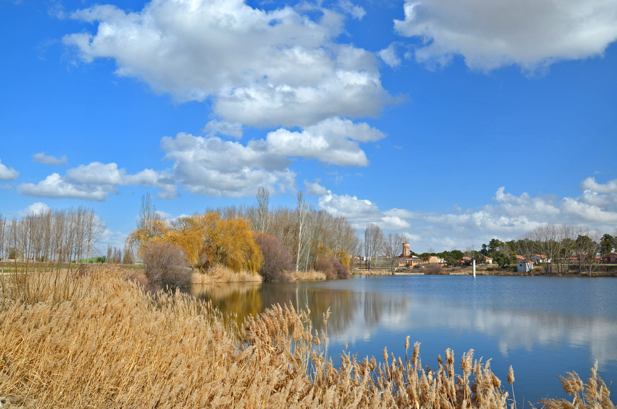 20230206014719-3eab2b6966d0aa80f3375587f7fc30a4