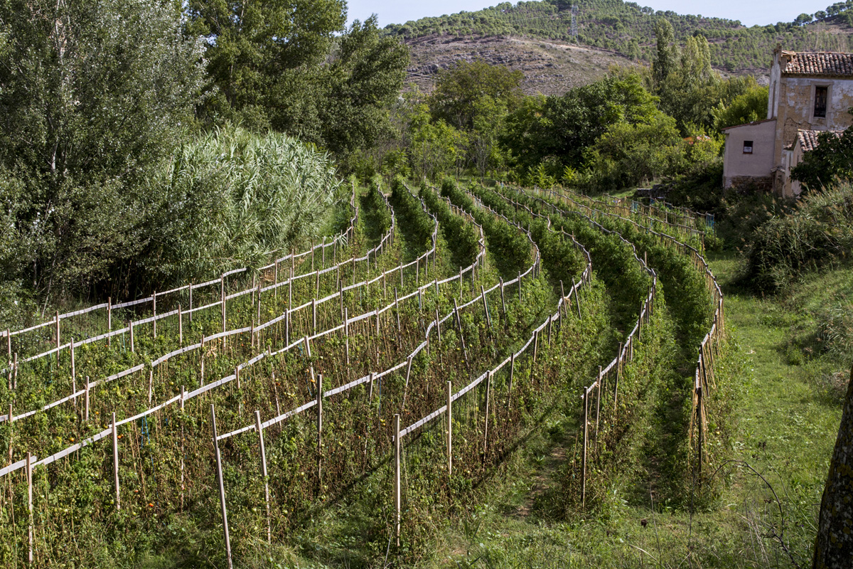 20230224014152-0b6f687d81d925f2dc8302a6beaef03d