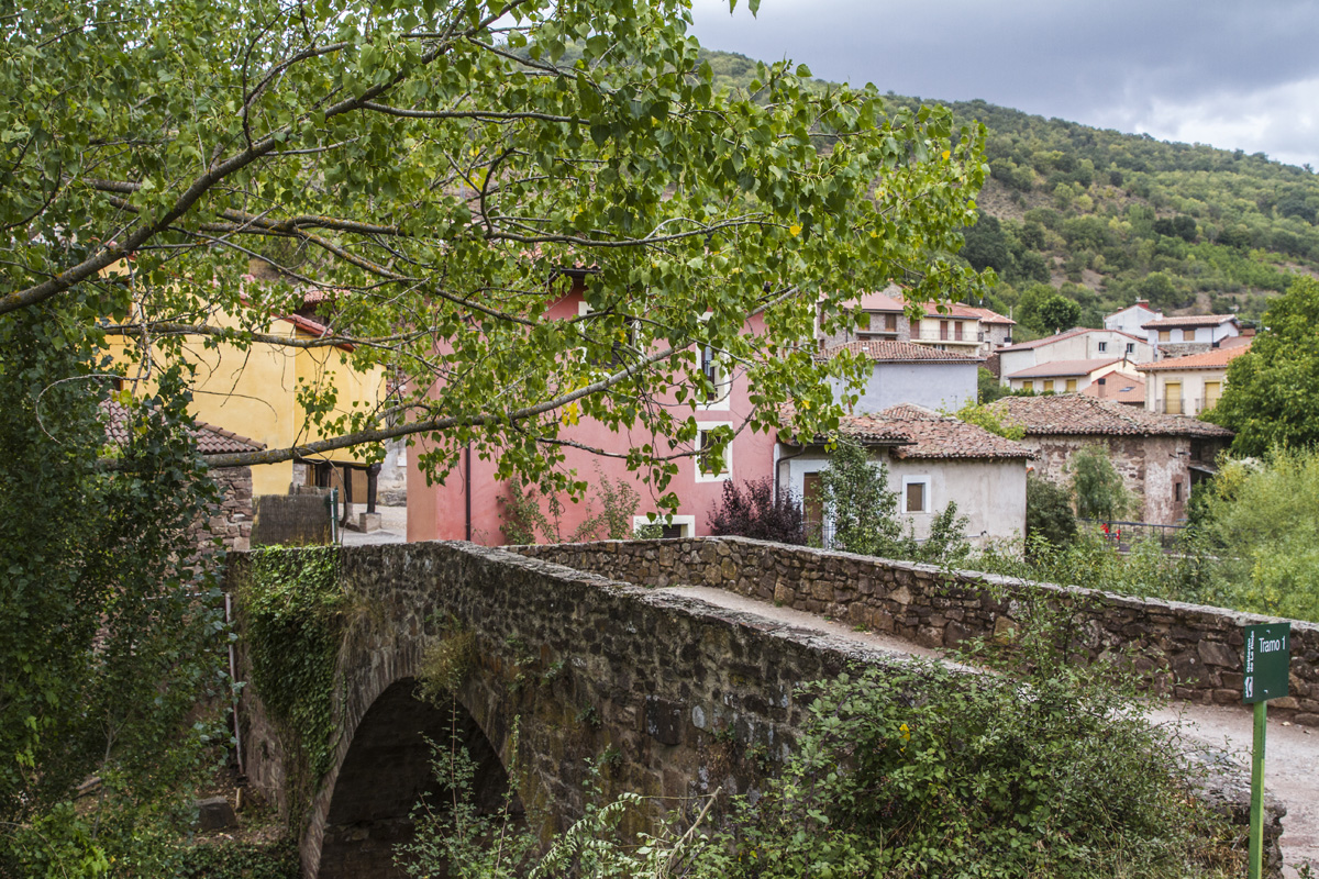 20230224014152-6a0546617b808b841193571e30d7c411