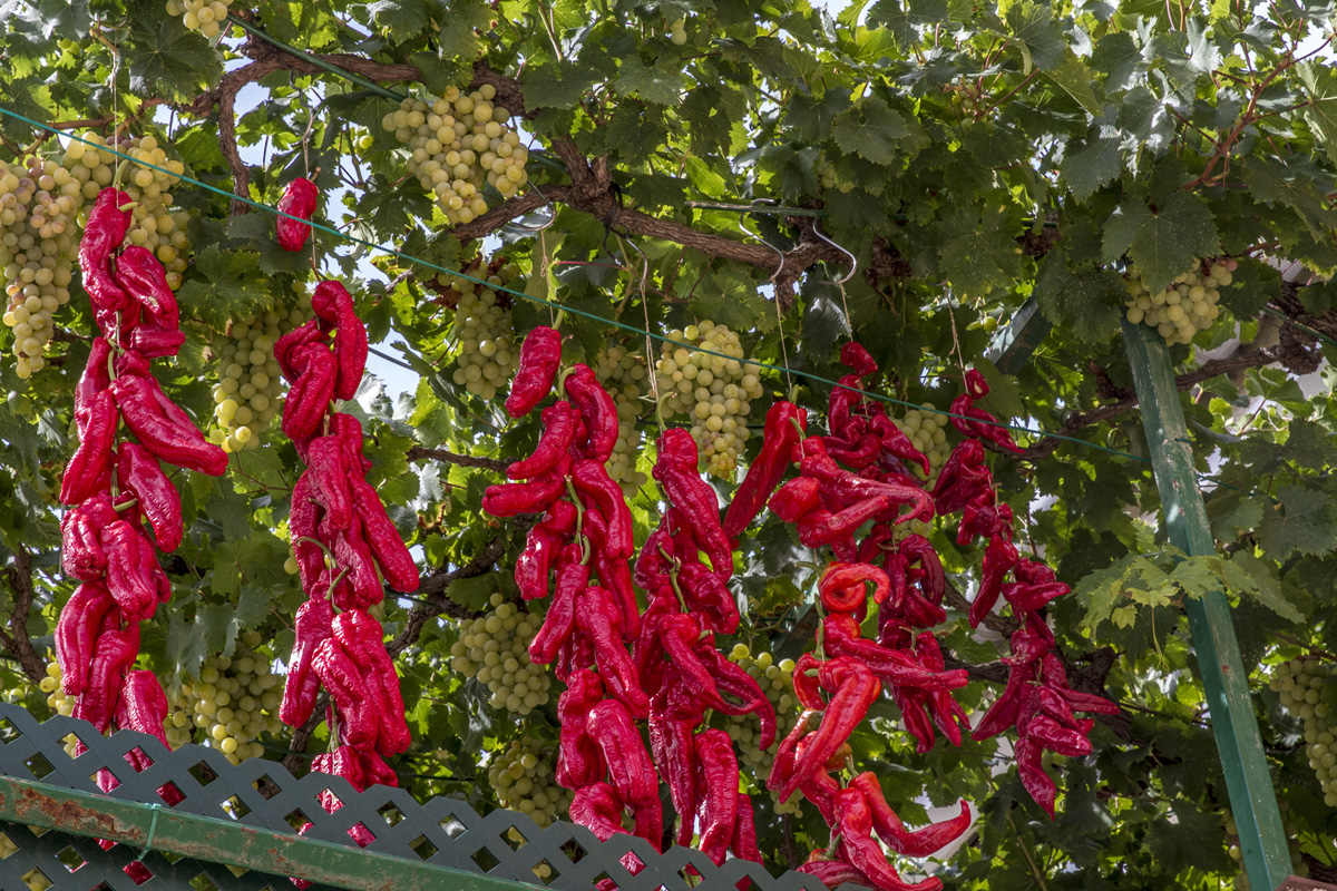 20230224014152-9d755e1cf1a8c0645703a01b5687a528