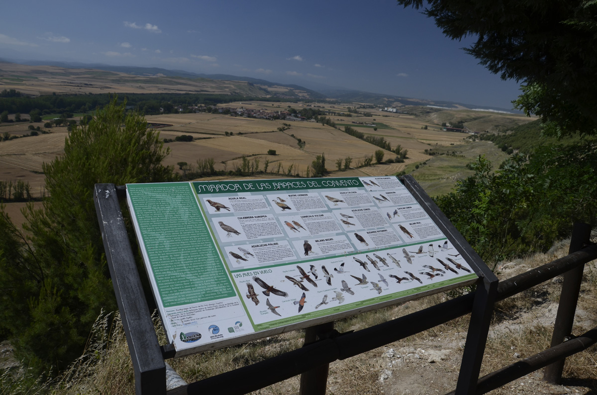 20230224014152-e403176d6609c8a09a68acb3c65727f2