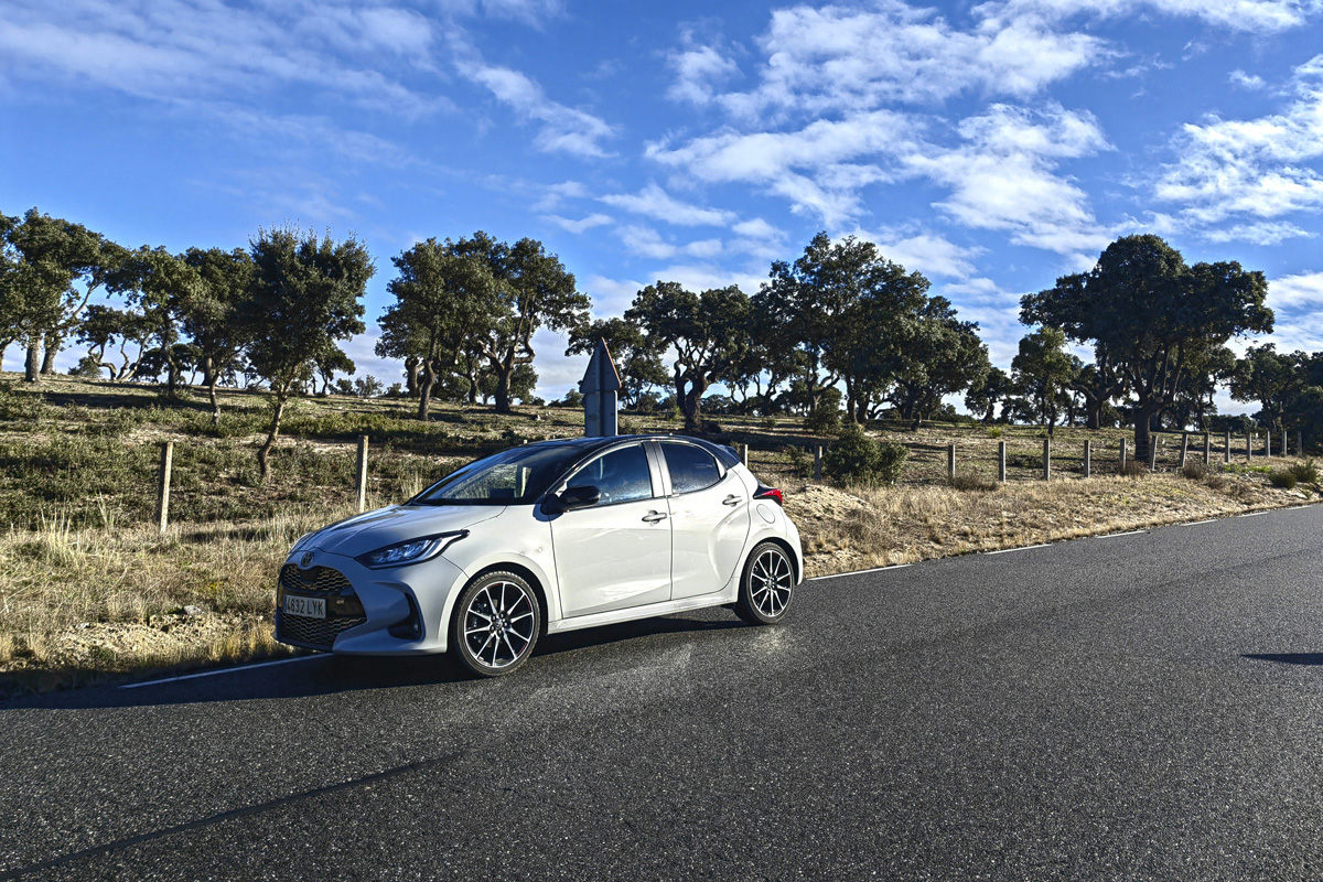 20230301010319-6fde0ddf1abe5a70530a849ecdd3b6fd