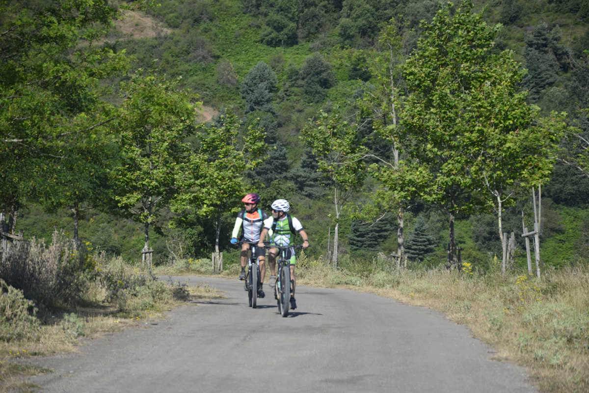 20230316213522-7b49f0e595212c47e7f070adb4c83e06