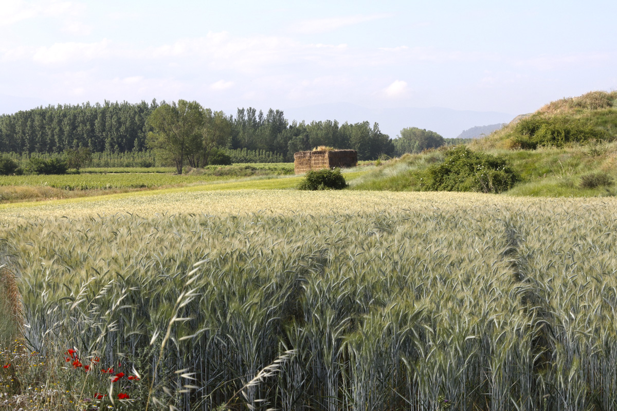 20230327225239-0647186f9635b65223ccc8a3a7def437