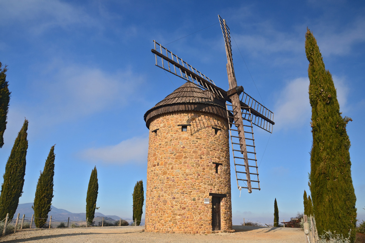 20230327225239-09f4559235d391bab65d6e2b15d6eaae