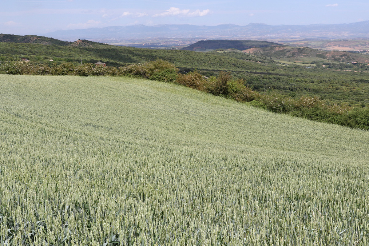 20230327225239-89a8f4259be38648bf5d9afb13a2d7fe