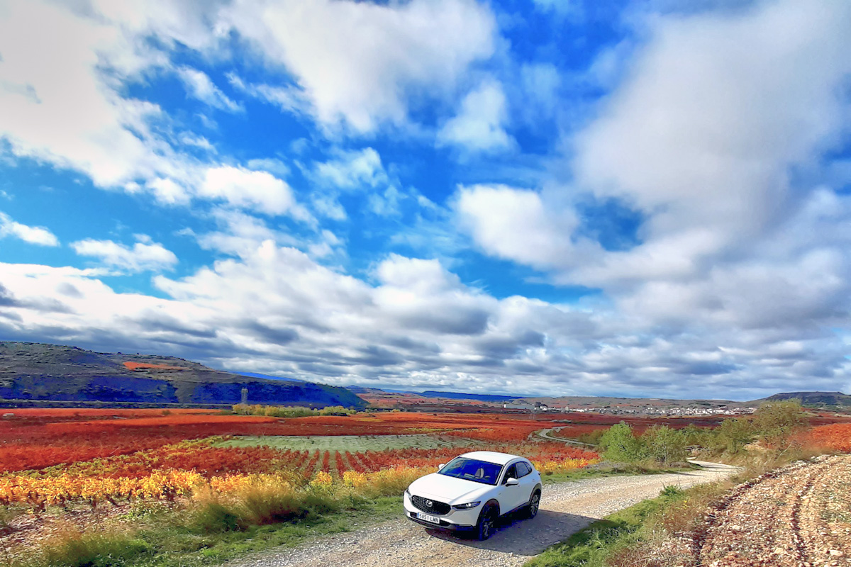 20230327225239-9d4ee4d0ab007ba7db7648a96ca3247f