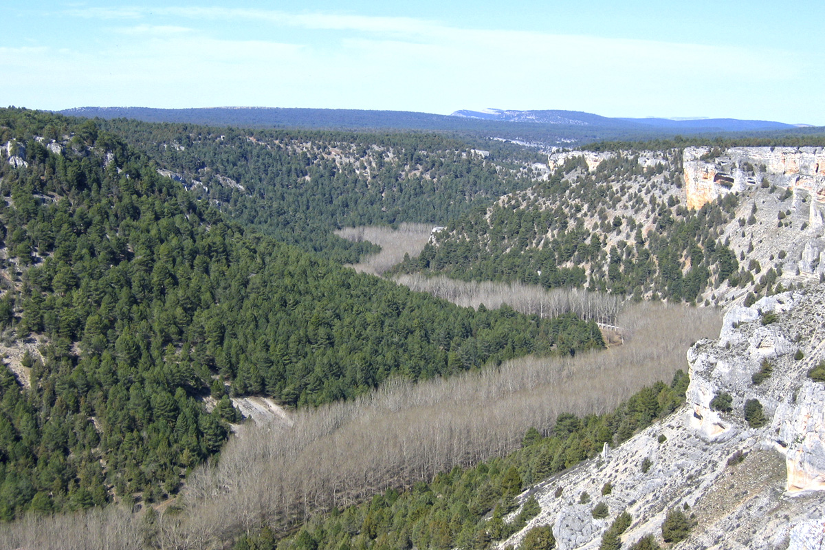 20230330171908-6fd89215c8b9d9ce7a1dd2272c7490e6