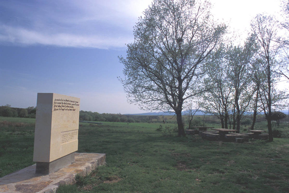 20230430065808-1830cd9e7e45b4058e37d04b54724dab