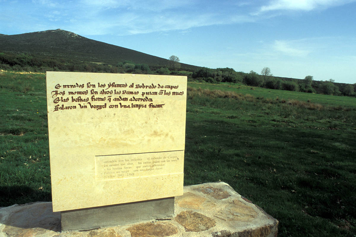 20230430065808-9b4485d13a5c28e57370cffd8d95bff2