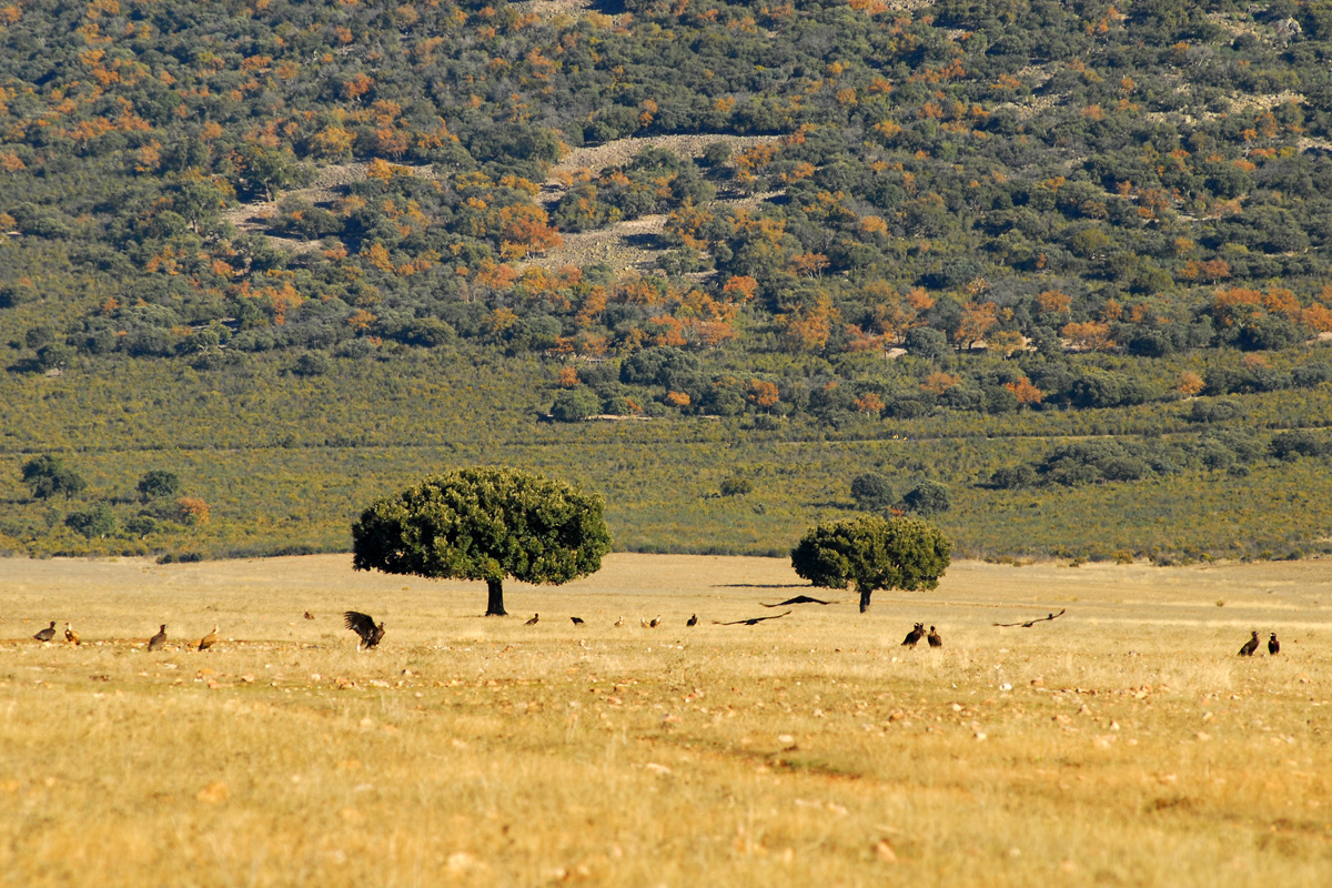 20230602230105-db435cfaa603e1e1ca4ced5b4e1b17e6