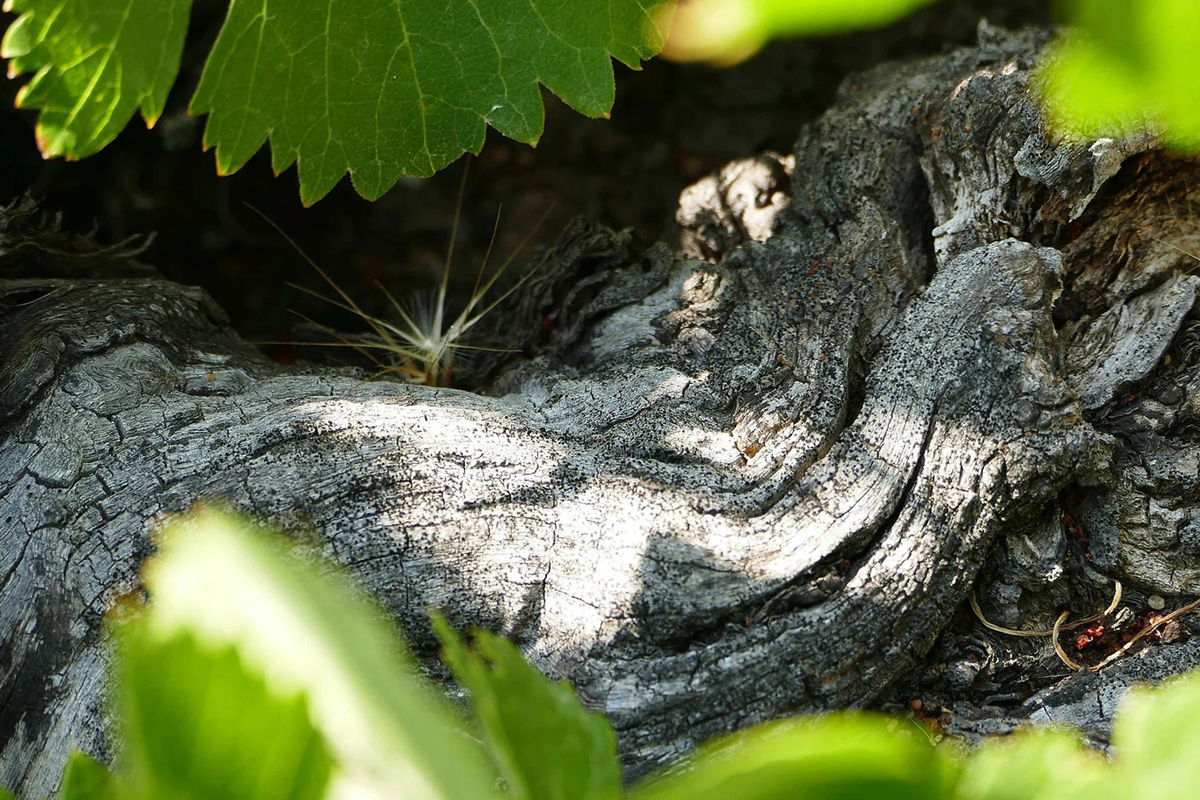 20230705005908-fdf90b90371335191fa7104a2c41aef4