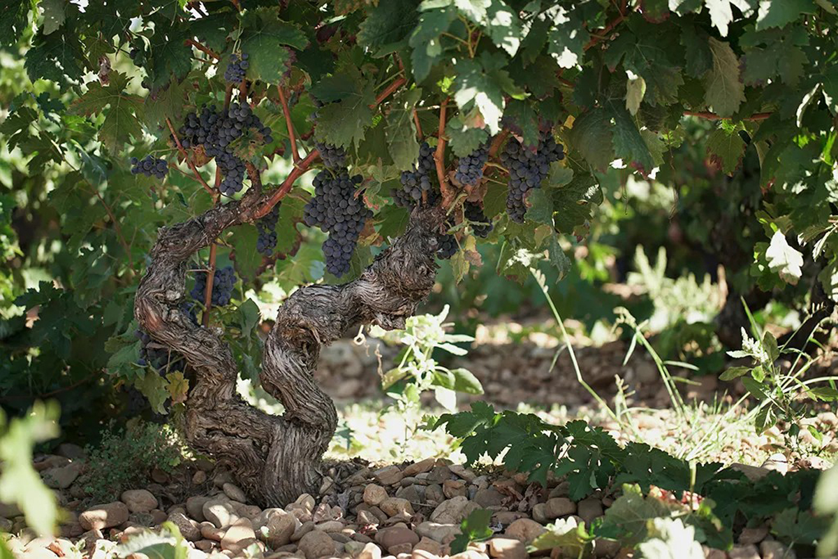 20230708093842-a2777730af5928757a63bc632d7d8925