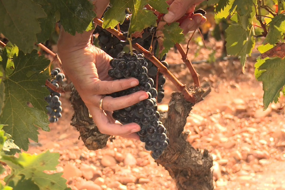 20230708093842-ba5a239218cdb67f9e9c25ccdc1eadf3