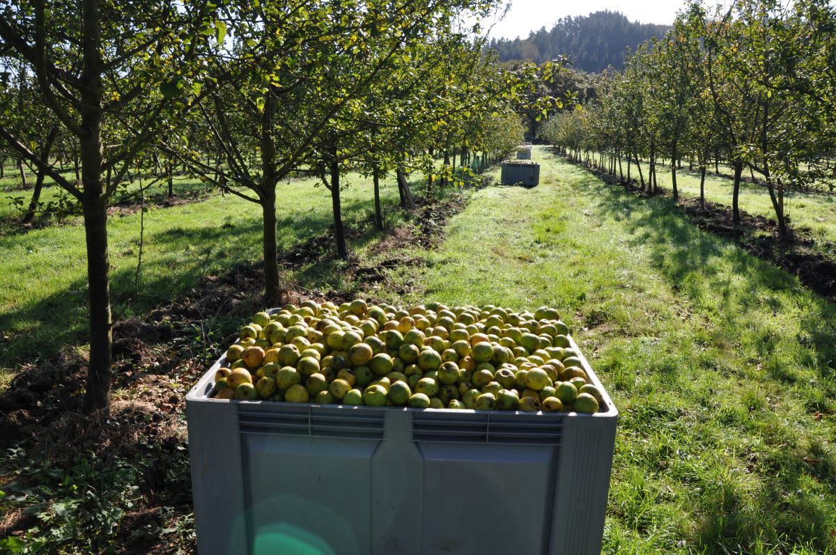 20230714172654-05b71235778561ceea34bfede40b399c