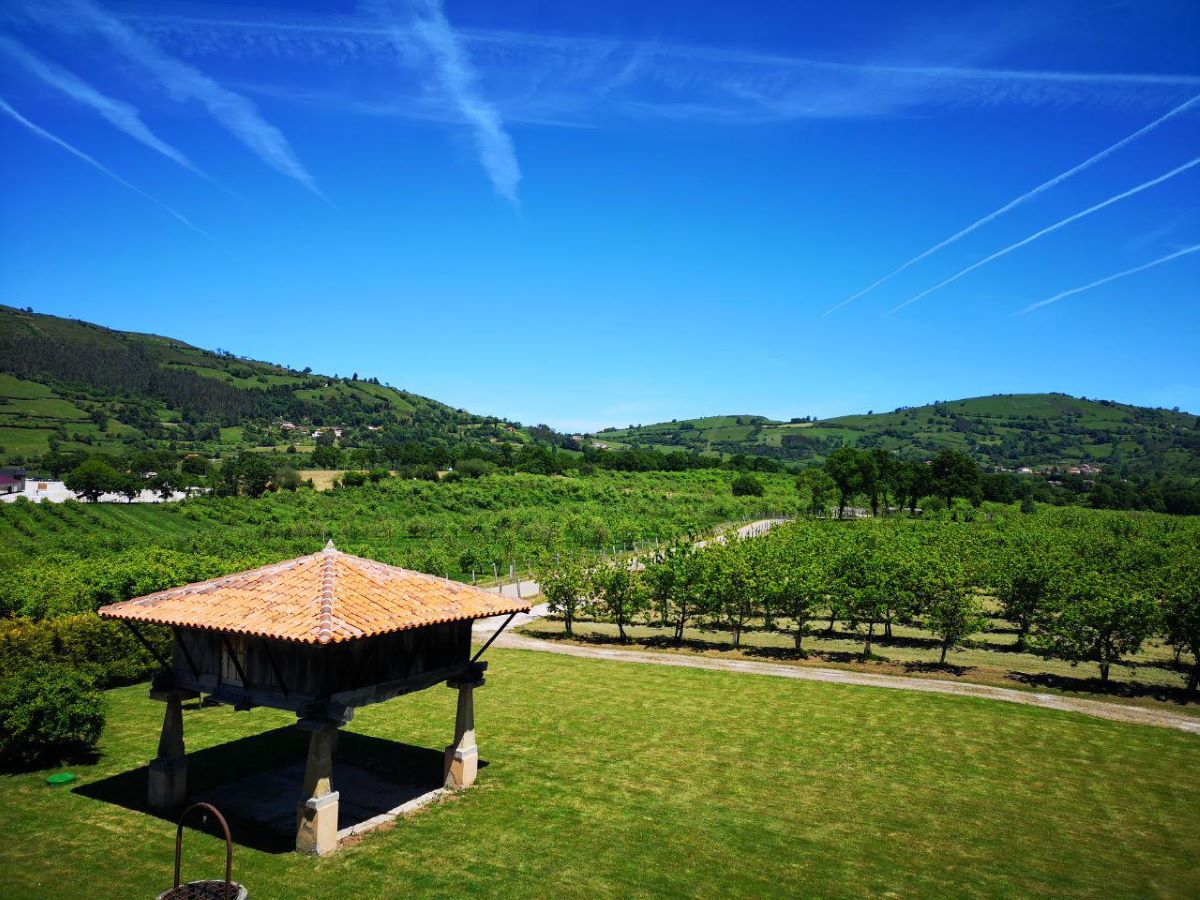 20230714172654-dda9eec2c5cb9f6f3d086044c4ffd558