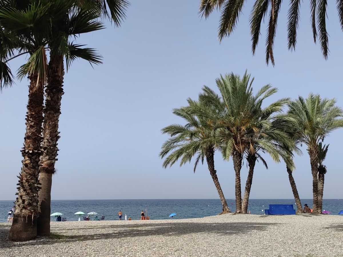 20230718154351-23a276e7ccda105dc2eb7303d5f1bbe2