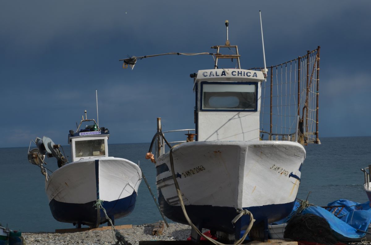 20230718154351-e02acad1101a834191077dfdf658e7f1