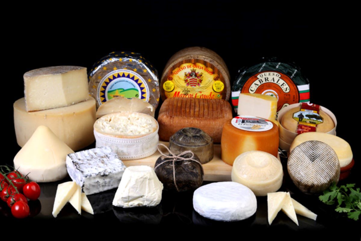 20230719155425-1dc030d0b711573b1f4b7eb221765807