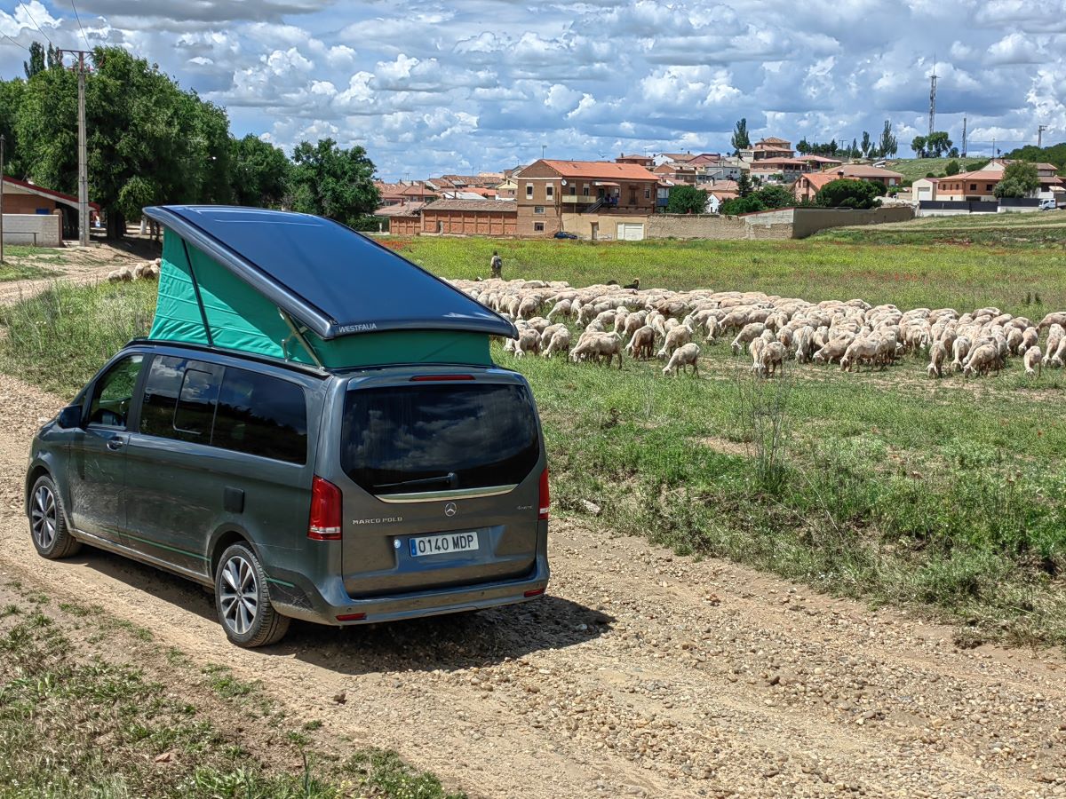 20230719172131-285a34674189e87cb0ae343527259476