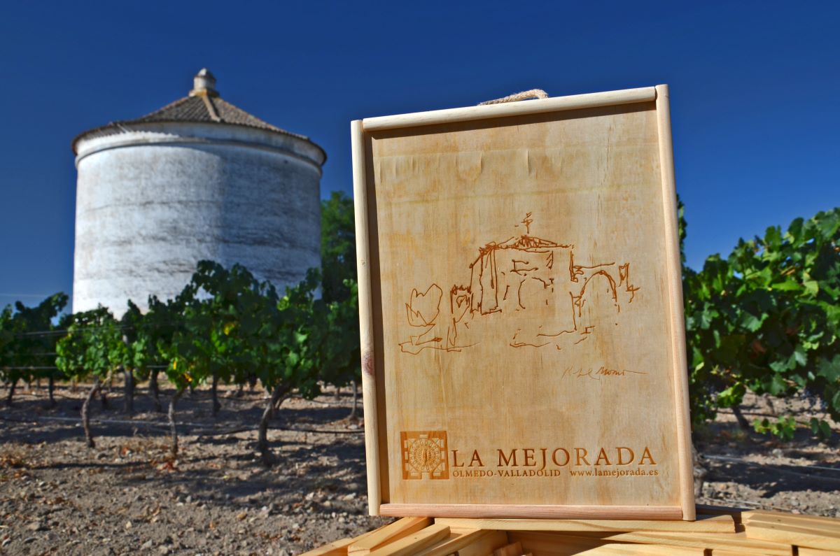 20230719172131-568be19d537cc39738d7688822192a3e