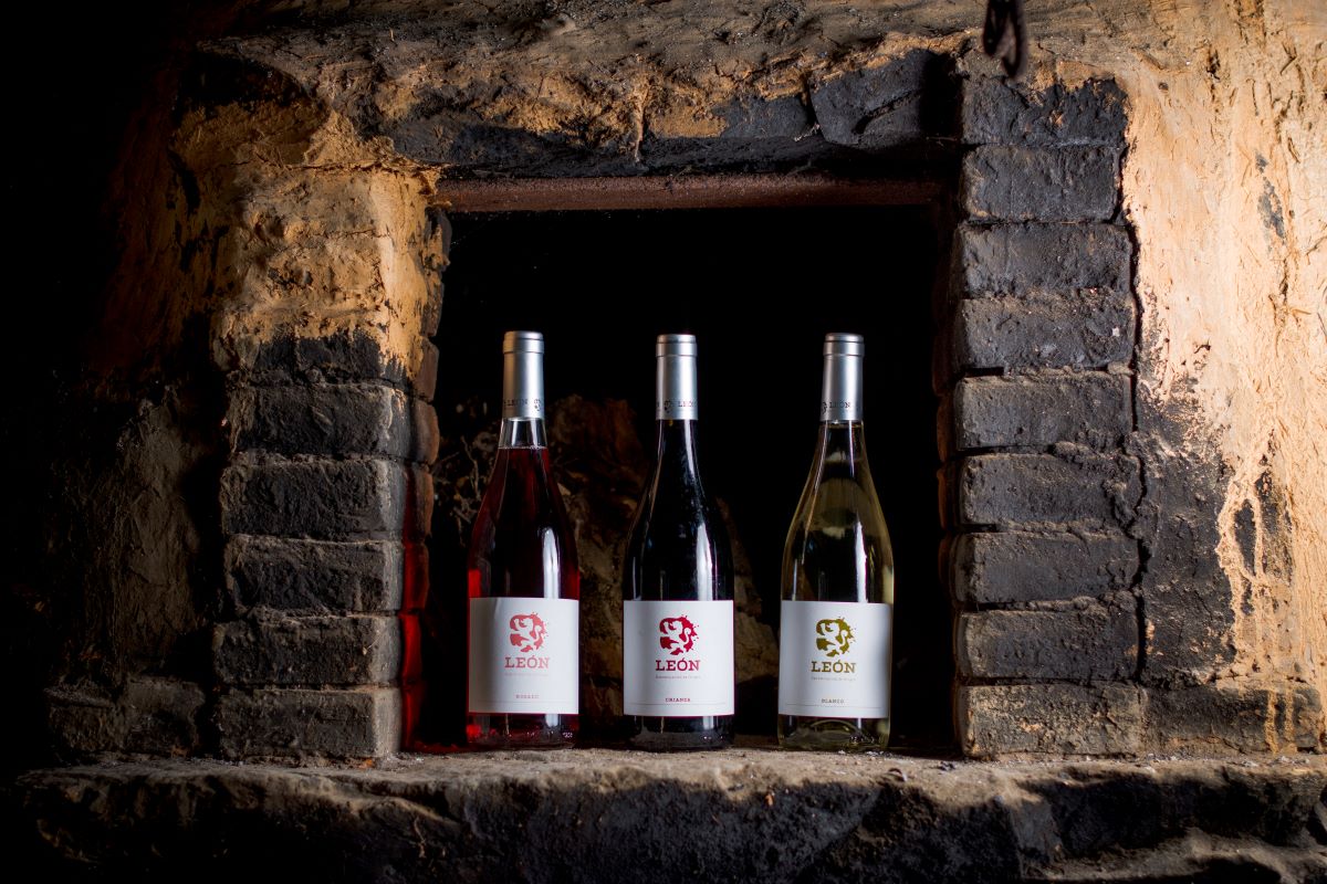 20230831133105-edab7ba7e203cd7576d1200465194ea8